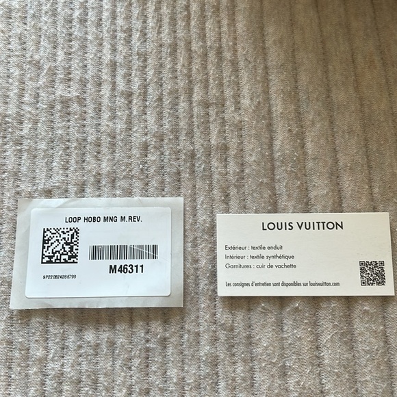 Louis Vuitton Loop Hobo - Picture 10 of 11